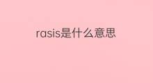 rasis是什么意思 rasis的中文翻译、读音、例句