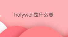 holywell是什么意思 holywell的中文翻译、读音、例句