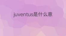 juventus是什么意思 juventus的中文翻译、读音、例句