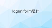 lageniform是什么意思 lageniform的中文翻译、读音、例句