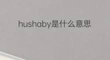 hushaby是什么意思 hushaby的中文翻译、读音、例句