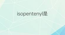 isopentenyl是什么意思 isopentenyl的中文翻译、读音、例句