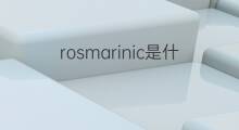 rosmarinic是什么意思 rosmarinic的中文翻译、读音、例句