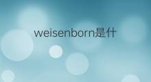 weisenborn是什么意思 weisenborn的中文翻译、读音、例句
