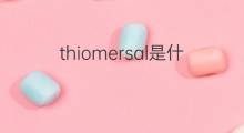 thiomersal是什么意思 thiomersal的中文翻译、读音、例句