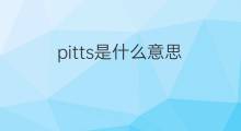 pitts是什么意思 pitts的中文翻译、读音、例句