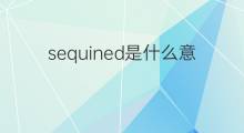 sequined是什么意思 sequined的中文翻译、读音、例句