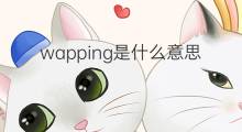 wapping是什么意思 wapping的中文翻译、读音、例句