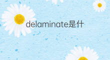 delaminate是什么意思 delaminate的中文翻译、读音、例句