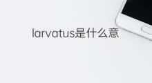 larvatus是什么意思 larvatus的中文翻译、读音、例句