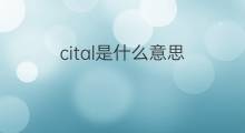 cital是什么意思 cital的中文翻译、读音、例句