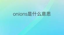 onions是什么意思 onions的中文翻译、读音、例句