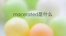 macerated是什么意思 macerated的中文翻译、读音、例句