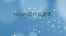 hicom是什么意思 hicom的中文翻译、读音、例句