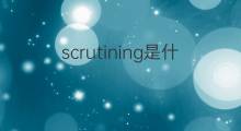 scrutining是什么意思 scrutining的中文翻译、读音、例句