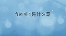 fusiella是什么意思 fusiella的中文翻译、读音、例句