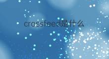 crossfeed是什么意思 crossfeed的中文翻译、读音、例句