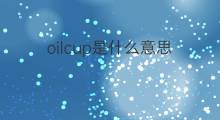 oilcup是什么意思 oilcup的中文翻译、读音、例句