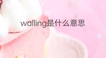 walling是什么意思 walling的中文翻译、读音、例句