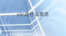 elin是什么意思 elin的中文翻译、读音、例句
