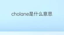 cholane是什么意思 cholane的中文翻译、读音、例句