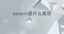 swarm是什么意思 swarm的中文翻译、读音、例句