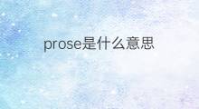 prose是什么意思 prose的中文翻译、读音、例句