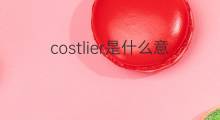 costlier是什么意思 costlier的中文翻译、读音、例句