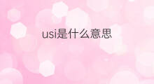 usi是什么意思 usi的中文翻译、读音、例句