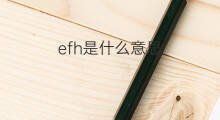 efh是什么意思 efh的中文翻译、读音、例句