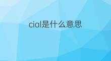 cial是什么意思 cial的中文翻译、读音、例句