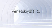 venetskiy是什么意思 venetskiy的中文翻译、读音、例句