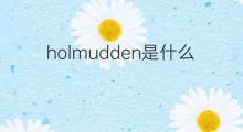 holmudden是什么意思 holmudden的中文翻译、读音、例句