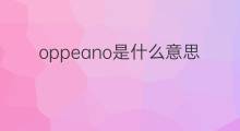 oppeano是什么意思 oppeano的中文翻译、读音、例句