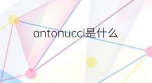 antonucci是什么意思 英文名antonucci的翻译、发音、来源