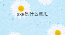 sxe是什么意思 sxe的中文翻译、读音、例句