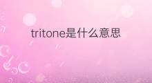tritone是什么意思 tritone的中文翻译、读音、例句