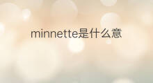 minnette是什么意思 minnette的中文翻译、读音、例句