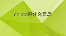 caliga是什么意思 caliga的中文翻译、读音、例句