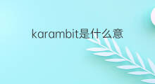 karambit是什么意思 karambit的中文翻译、读音、例句