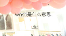 wnsb是什么意思 wnsb的中文翻译、读音、例句