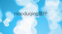 niaoduqing是什么意思 niaoduqing的中文翻译、读音、例句