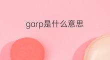 garp是什么意思 garp的中文翻译、读音、例句