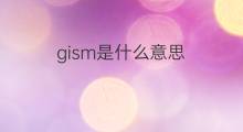 gism是什么意思 gism的中文翻译、读音、例句