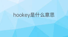 hookey是什么意思 hookey的中文翻译、读音、例句