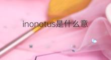 inonotus是什么意思 inonotus的中文翻译、读音、例句
