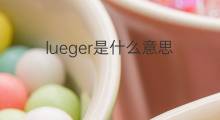 lueger是什么意思 lueger的中文翻译、读音、例句