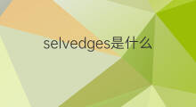selvedges是什么意思 selvedges的中文翻译、读音、例句
