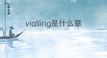 vialling是什么意思 vialling的中文翻译、读音、例句