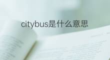 citybus是什么意思 citybus的中文翻译、读音、例句